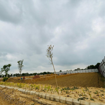 Plot Area in  Plot at Sector 97 – for Sale
