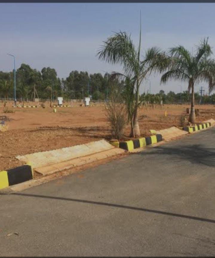 Plot For Resale in Sector 76 Faridabad  7233430