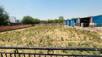 Commercial Land 8900 Sq.Ft. For Rent in Sector 10 Noida  7235191
