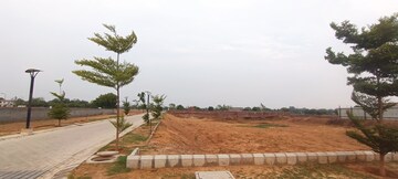 Plot Area in  Plot at Mansha Orchid, Sector 110 – for Sale