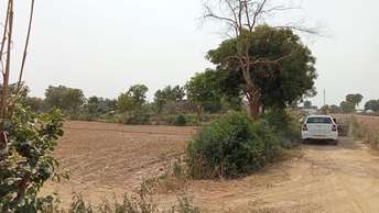  Plot For Resale in Gn Sector Alpha 1 Greater Noida 7236980