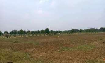 Plot For Resale in Sector 83 Faridabad  7237264