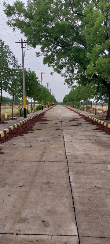  Plot – Exterior View View at Shankarpalli - for Sale