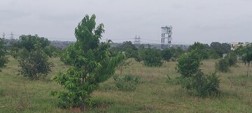 Plot Area in  Plot at Chevalla – for Sale