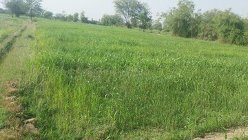  Land For Sale in Shilaj