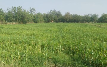Plot For Sale in S G Highway