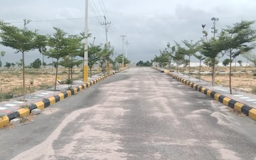 Plot For Sale in Hasmathpet
