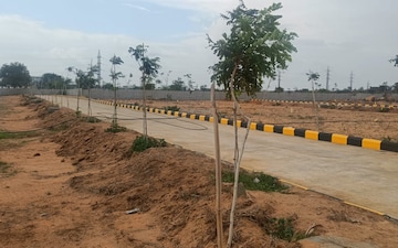 Plot For Sale in Anandbagh