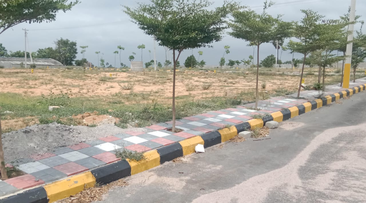 Plot For Resale in Warangal Highway Hyderabad  7238452