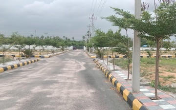 Plot For Sale in Almasguda