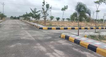  Plot For Resale in Amangal Hyderabad 7238602