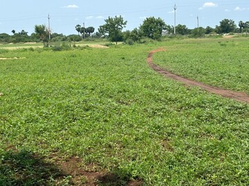 Plot Area in  Plot at Mangalagiri – for Sale