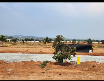 Plot Area in  Plot at Harichandana Mayfair Villas, Shadnagar – for Sale