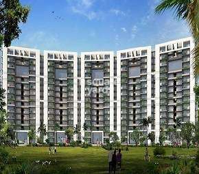 3 BHK Apartment For Rent in Tulip Violet Sector 69 Gurgaon  7239184