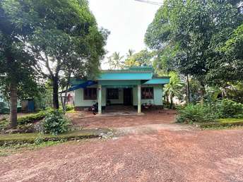  Plot For Resale in Chittilappilly Thrissur 7166919