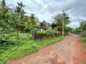 Plot For Resale in Pottore Thrissur 7240078