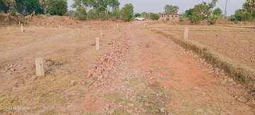  Plot – Nearby View at Naubatpur - for Sale