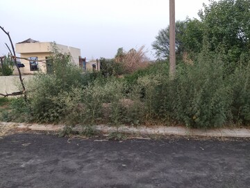 Plot Area in  Plot at GMADA Eco City, North Mullanpur – for Sale
