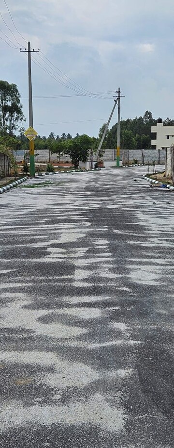  Plot For Sale in Vidya Nagar