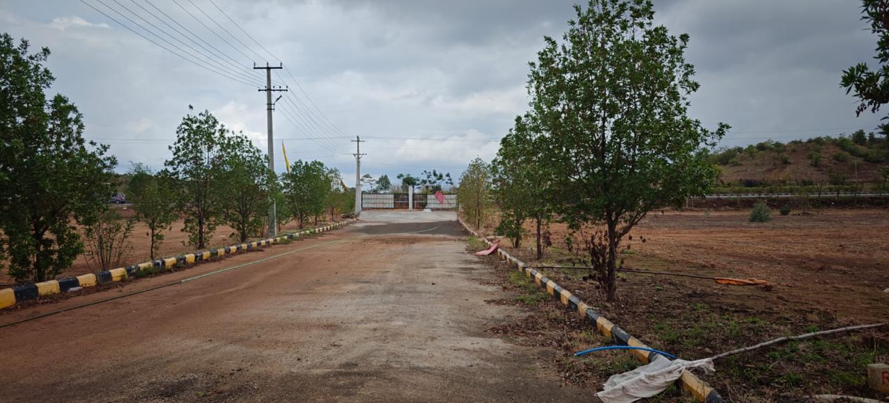 Plot For Resale in Chegunta Hyderabad  7241513