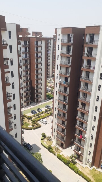 3 BHK Apartment For Sale in Kundli