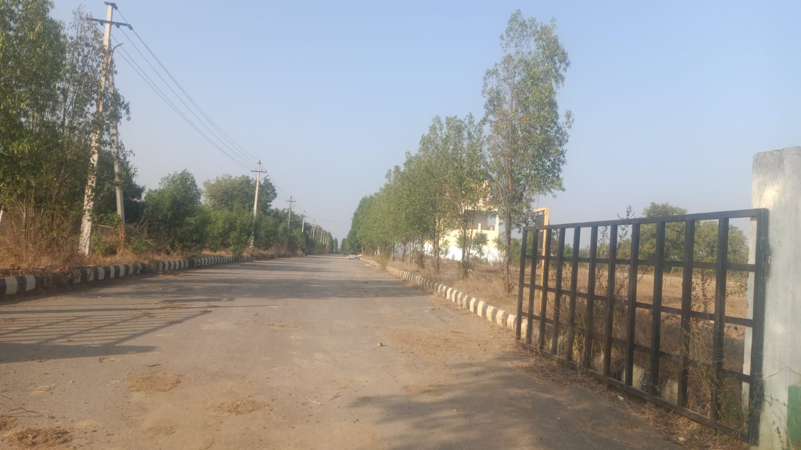 Plot For Resale in Bhanur Hyderabad  7241994