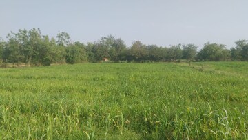  Plot For Sale in Sindhubhavan