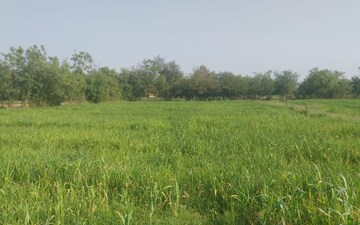 Plot For Sale in Sindhubhavan