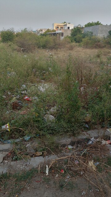 Plot Area in  Plot at Kamta – for Sale