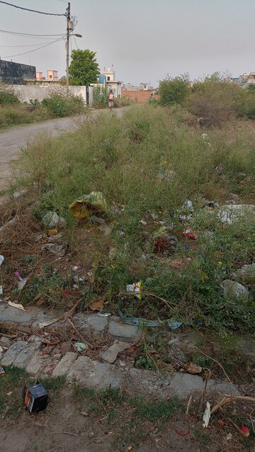 Plot Area in  Plot at Kamta – for Sale