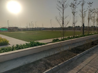 Plot For Resale in Sector 36 Panipat  7242372