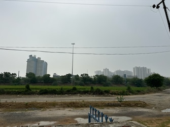 Commercial Land 300 Sq.Yd. For Resale in Yex Gaur Yamuna City Greater Noida  7242381