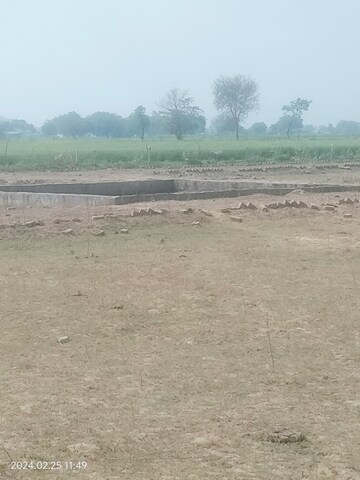 Plot Area in  Plot at Omega Ii Greater Noida – for Sale
