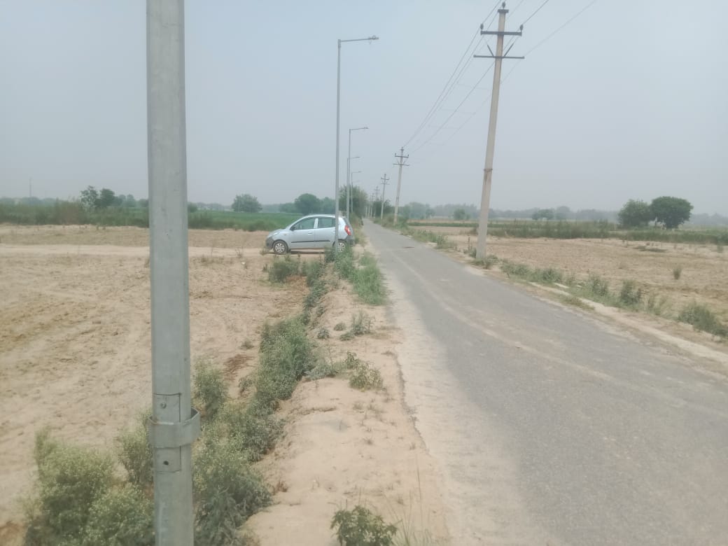 Plot For Resale in Jharoda Kalan Delhi  7242820