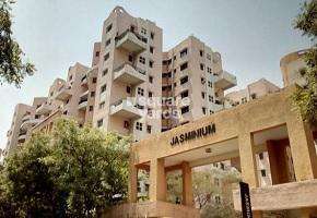 3 BHK Apartment For Rent in Magarpatta City Roystonea Hadapsar Pune  7243023