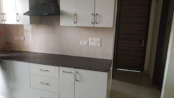 2 BHK Apartment For Rent in Samridhi Luxuriya Avenue Sector 150 Noida  7243492