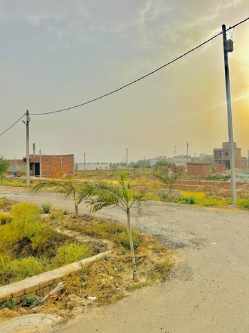 Plot Area in  Plot at Amehra Adipur – for Sale