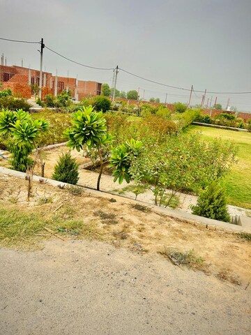  Plot For Sale in Amehra Adipur