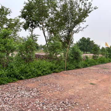 Plot Area in  Plot at Ajhai Khurd – for Sale
