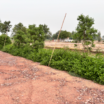 Plot Area in  Plot at Ajhai Khurd – for Sale