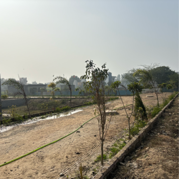 Plot Area in  Plot at Tappal – for Sale