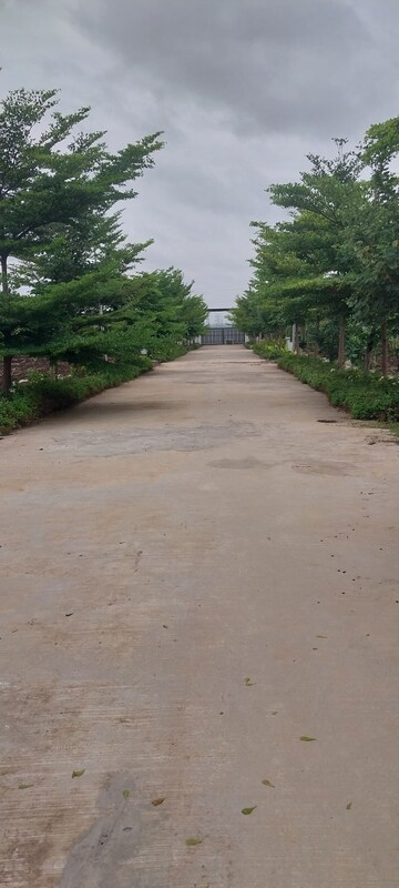  Plot – Exterior View View at Bhanur - for Sale