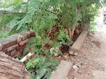 Plot Area in  Plot at Patna - Gaya Road – for Sale