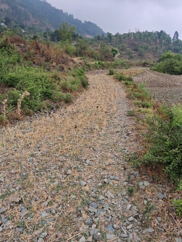 Plot Area in  Plot at Bhimtal – for Sale