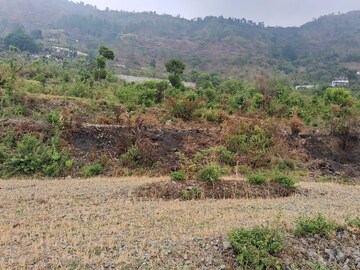  Plot For Sale in Bhimtal