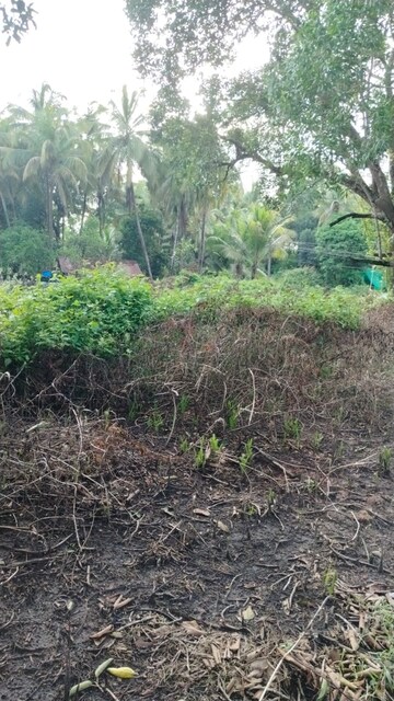 Plot For Resale in Varca Goa  7244985