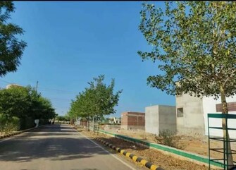 Plot For Resale in Shyamashish Shyam Sarovar Thikariya Jaipur  7245252