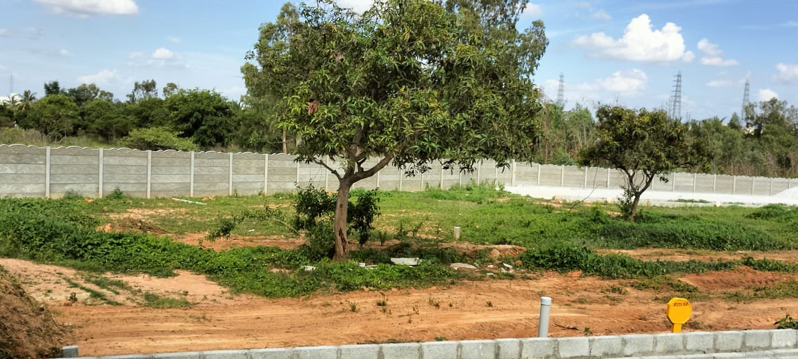 Plot For Resale in Mahanidhi Residency Banashankari Bangalore  7245204