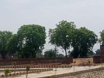 Commercial Land 800 Sq.Ft. For Resale in Udaiganj Lucknow  7245285