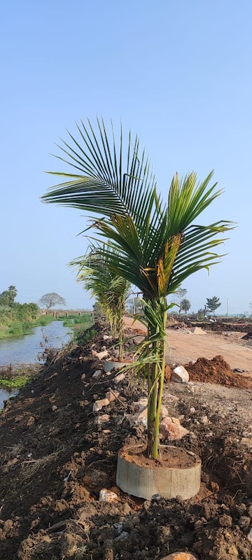  Plot – Garden View at Sri Bhumi Eeshaanya, Kankipadu - for Sale